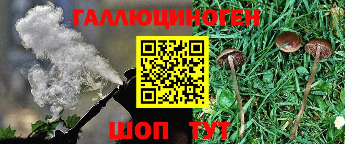 Энгельс  Галлюциногенные грибы прущие грибы  Вход с VPN 